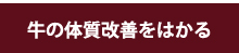 牛の体質改善をはかる